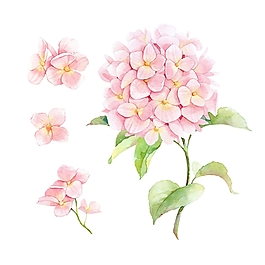 位圖 寫意花卉 植物 花朵 免費(fèi)素材