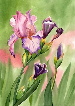 位圖 寫(xiě)意花卉 植物 花朵 免費(fèi)素材