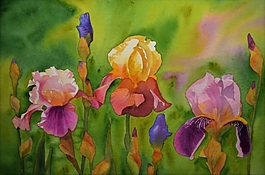 位圖 寫意花卉 植物 花朵 免費素材