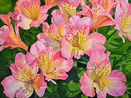 位圖 寫(xiě)意花卉 植物 花朵 免費(fèi)素材