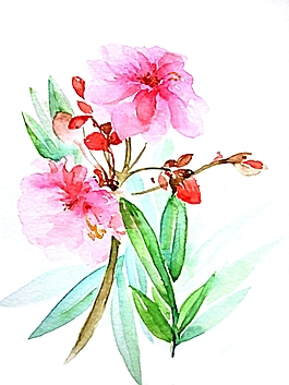 位圖 寫(xiě)意花卉 植物 花朵 免費(fèi)素材