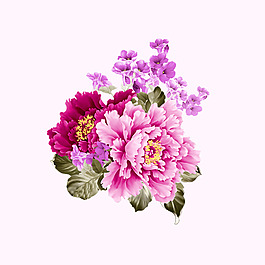 位圖 psd 植物 花朵 免費素材