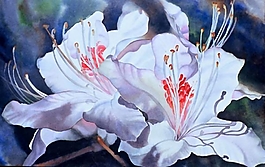位圖 寫意花卉 植物 花朵 免費(fèi)素材