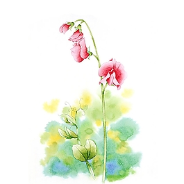 位圖 寫意花卉 植物 花朵 免費素材