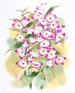 位圖 寫意花卉 植物 花朵 免費素材