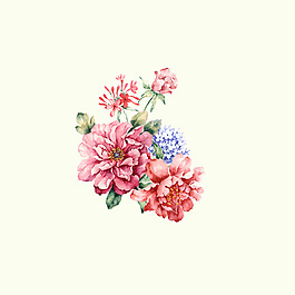 位圖 psd 植物 花朵 免費(fèi)素材