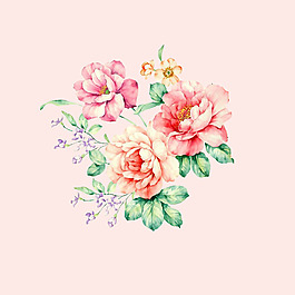 位圖 psd 植物 花朵 免費(fèi)素材