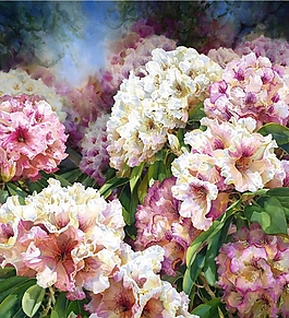 位圖 寫(xiě)意花卉 植物 花朵 免費(fèi)素材