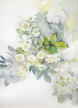 位圖 寫意花卉 植物 花朵 免費(fèi)素材