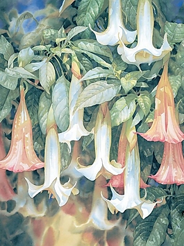 位圖 寫意花卉 植物 花朵 免費素材