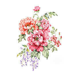 位圖 寫意花卉 植物 花朵 免費(fèi)素材