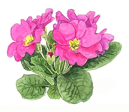 位圖 寫意花卉 植物 花朵 免費素材