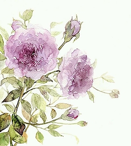 位圖 寫意花卉 植物 花朵 免費素材