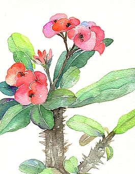 位圖 寫意花卉 植物 花朵 免費素材