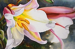 位圖 寫(xiě)意花卉 植物 花朵 免費(fèi)素材