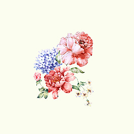 位圖 psd 植物 花朵 免費素材