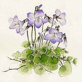 位圖 寫意花卉 植物 花朵 免費(fèi)素材