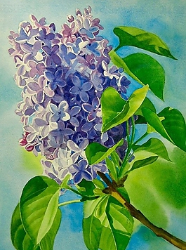 位圖 寫意花卉 植物 花朵 免費(fèi)素材