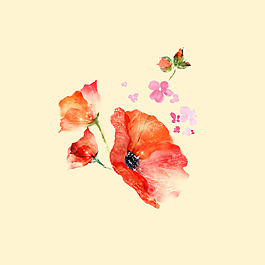 位圖 psd 植物 花朵 免費素材