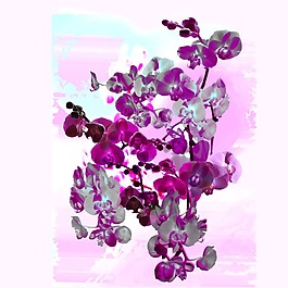 印花矢量圖 藝術(shù)效果 水彩 植物 花卉 免費素材