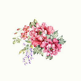 位圖 psd 植物 花朵 免費素材