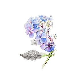 位圖 寫意花卉 植物 花朵 免費素材