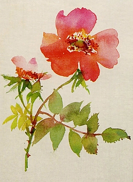 位圖 寫意花卉 植物 花朵 免費素材