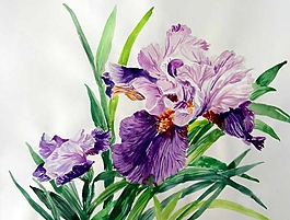 位圖 寫意花卉 植物 花朵 免費素材