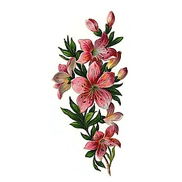 位圖 寫意花卉 植物 花朵 免費素材