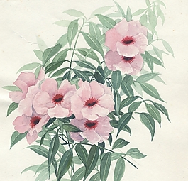 位圖 寫(xiě)意花卉 植物 花朵 免費(fèi)素材
