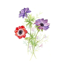 位圖 寫意花卉 植物 花朵 免費素材