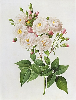 位圖 寫意花卉 植物 花朵 免費(fèi)素材