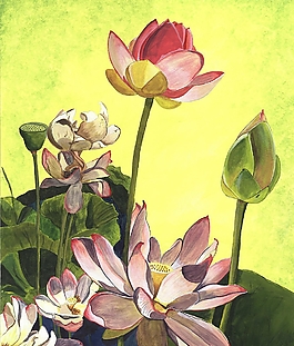 位圖 寫意花卉 植物 花朵 免費(fèi)素材