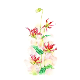 位圖 寫意花卉 植物 花朵 免費(fèi)素材