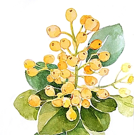 位圖 寫意花卉 植物 花朵 免費素材