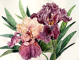 位圖 寫意花卉 植物 花朵 免費素材