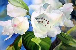 位圖 寫意花卉 植物 花朵 免費素材