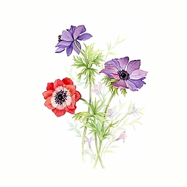 位圖 寫意花卉 植物 花朵 免費(fèi)素材