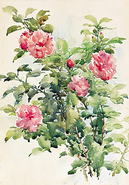 位圖 寫意花卉 植物 花朵 免費(fèi)素材