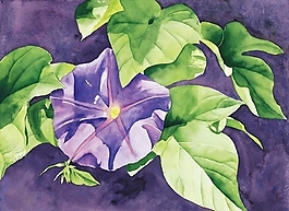 位圖 寫意花卉 植物 花朵 免費素材