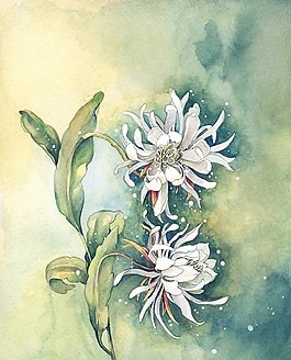 位圖 寫(xiě)意花卉 植物 花朵 免費(fèi)素材