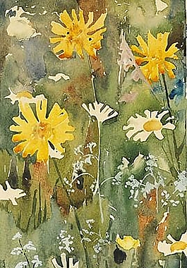 位圖 寫(xiě)意花卉 植物 花朵 免費(fèi)素材