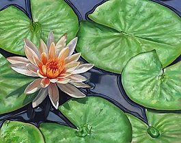 位圖 寫意花卉 植物 花朵 免費(fèi)素材