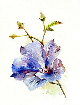 位圖 寫意花卉 植物 花朵 免費(fèi)素材