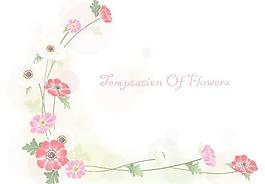 韓國植物裝飾邊框矢量圖42