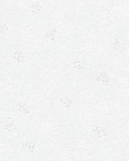 25259_壁纸_综合