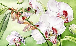 位圖 寫(xiě)意花卉 植物 花朵 免費(fèi)素材