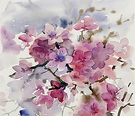 位圖 寫意花卉 植物 花朵 免費(fèi)素材