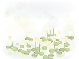 韓國植物裝飾邊框矢量圖05