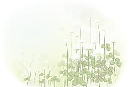 韓國植物裝飾邊框矢量圖04